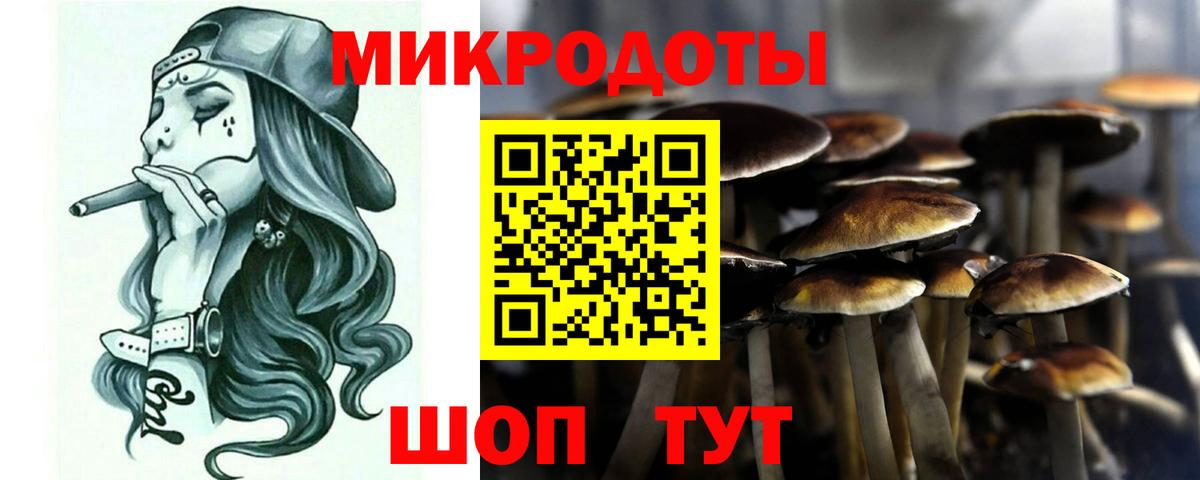 Псилоцибиновые грибы GOLDEN TEACHER Зеленогорск