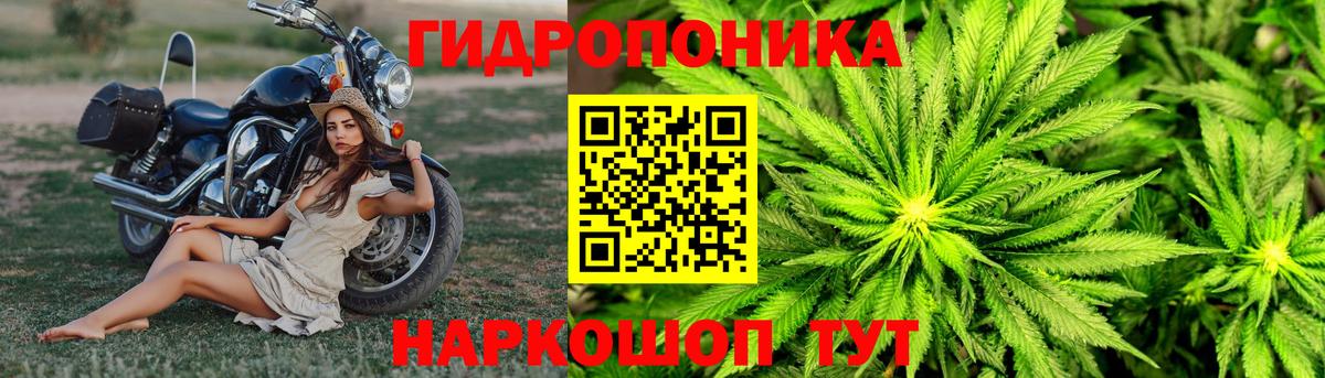МАРИХУАНА план Зеленогорск